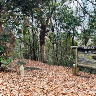 天神山到着。登山靴は履いてて良かった。アウターとセーター2枚脱ぎました。