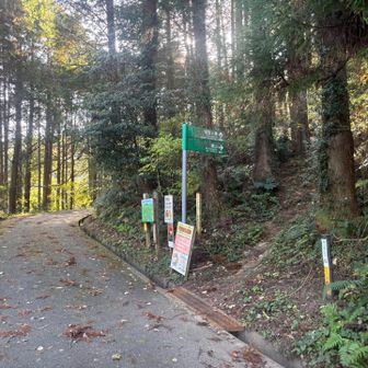 ここから登山道です。