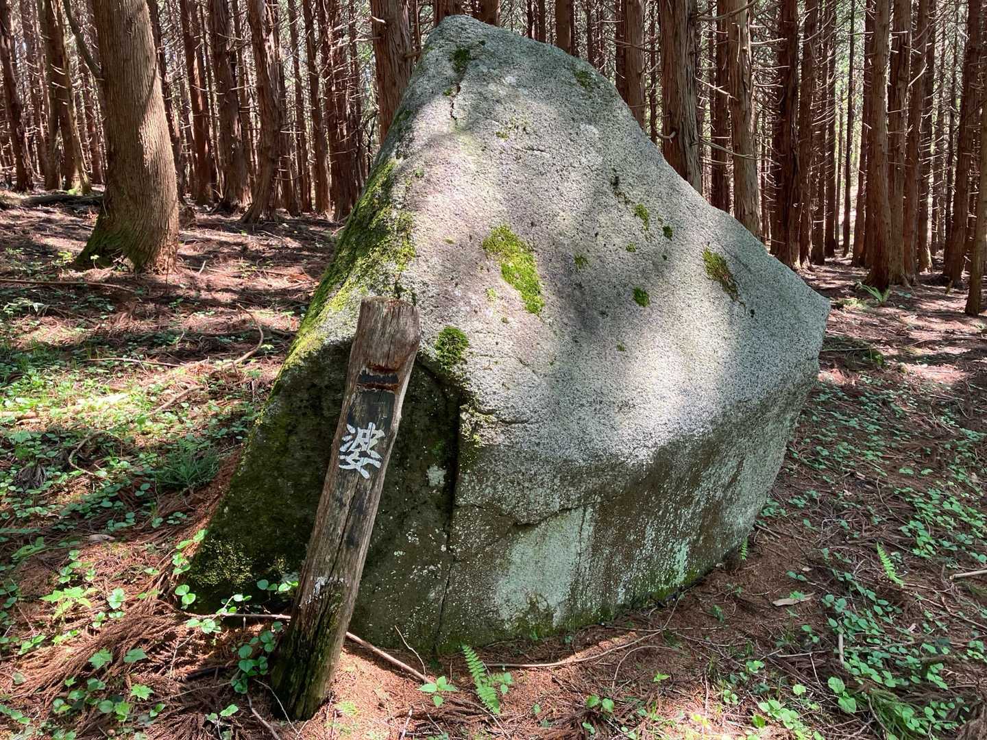 石上山 往復コースの写真