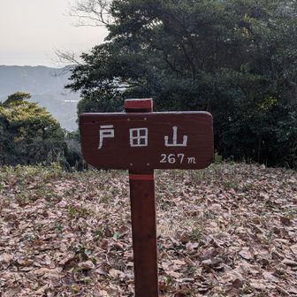 カッコイイ山頂標識、孔大寺山のと似てるなぁ？