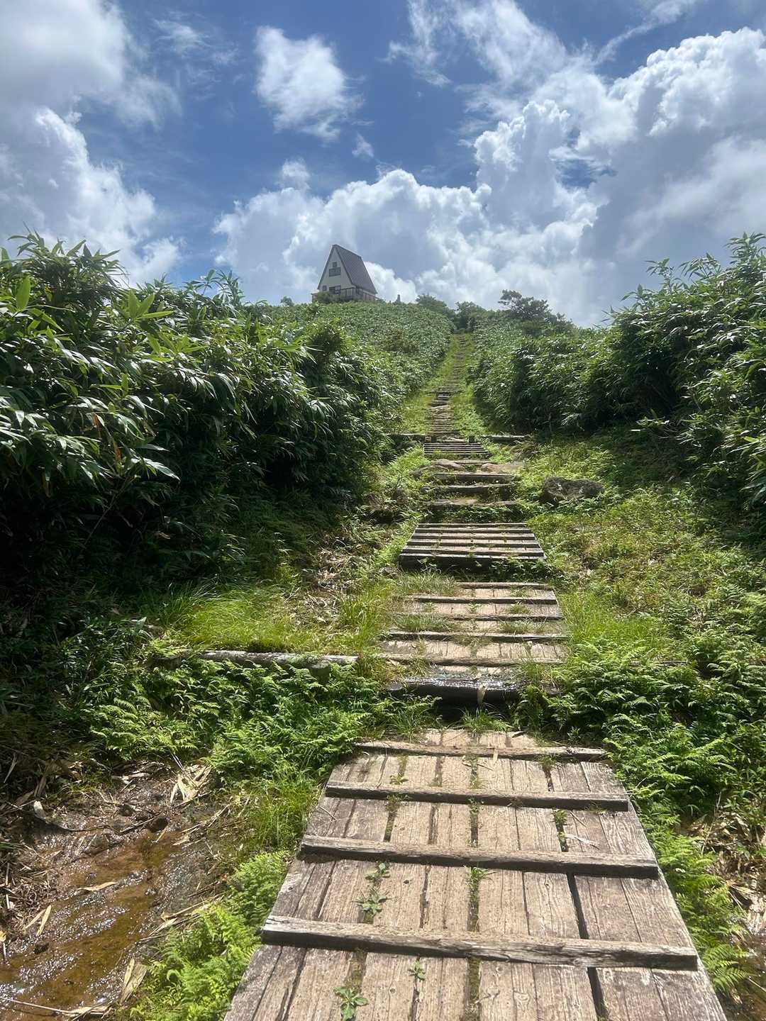 鉢伏口〜親水公園〜氷ノ山山頂〜東尾根　周回コースの写真