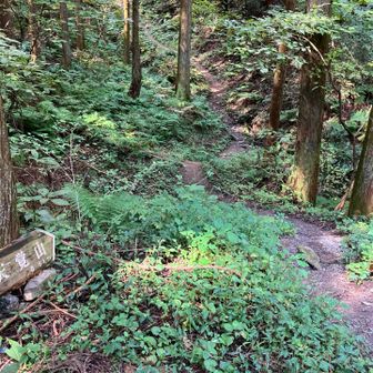 天覚山への道。