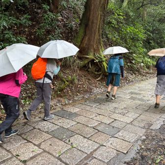 雨が降り続いているので1号路を登ります💪

1号路は急なのと混雑していることが多いため、意外にもみなさんあまり好きではないと仰っていました🤔