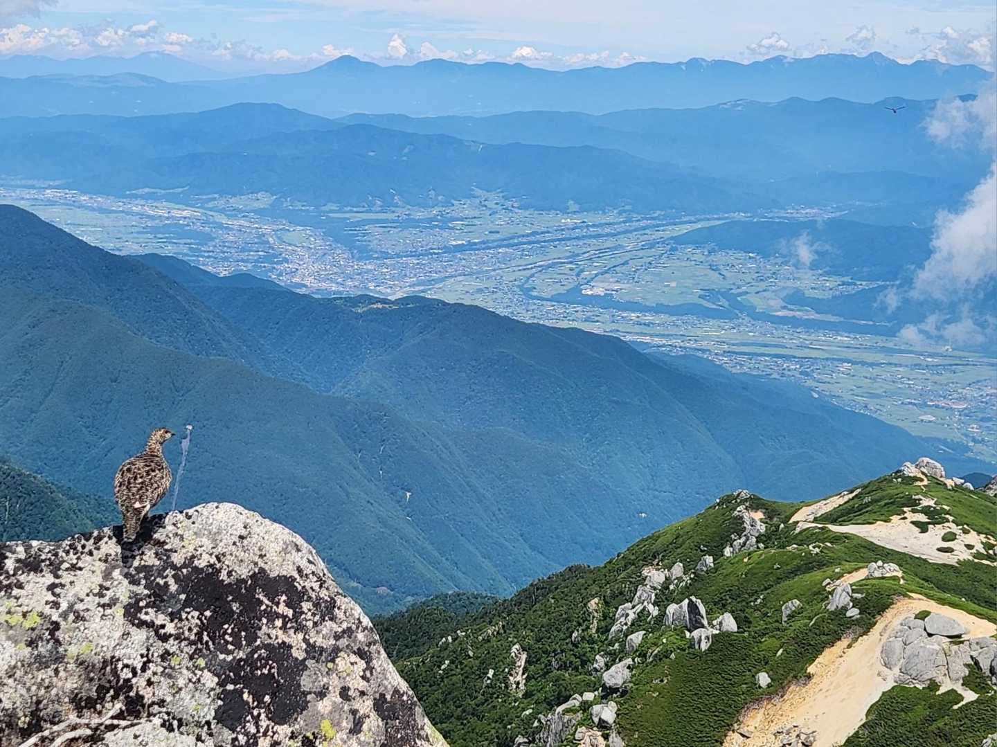 豊かな自然に守れてもっと増えてほしいですね☺️