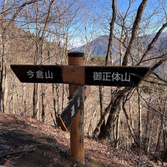 稜線に出たら丹沢が丸見え