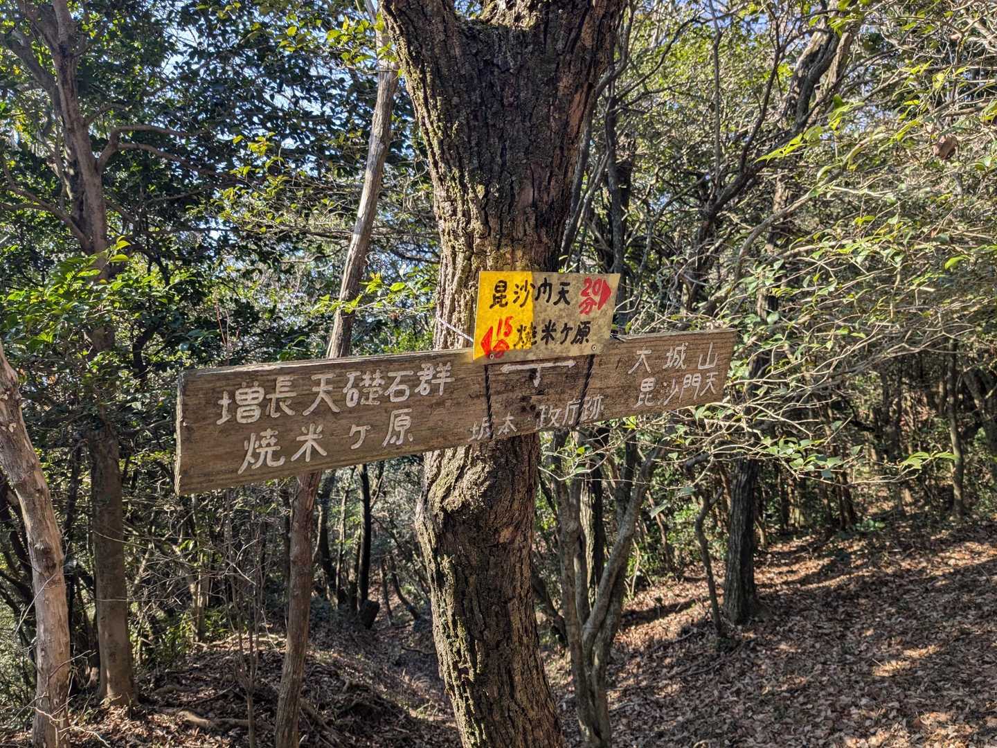 尾根をガシガシ↗️　分岐迄一気に
