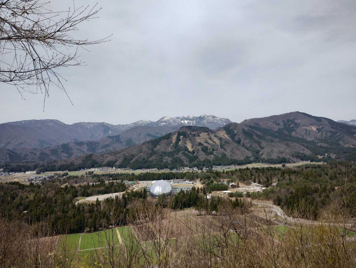 恐竜博物館丸見え