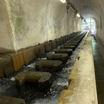 魚道のトンネル