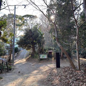 真ん中の坂道へ