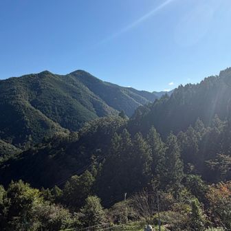 スタート地点
ここからの景色も絶景✨