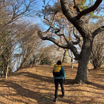 ミツマタカラーのザック💛