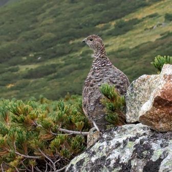 etoile et tempete☆