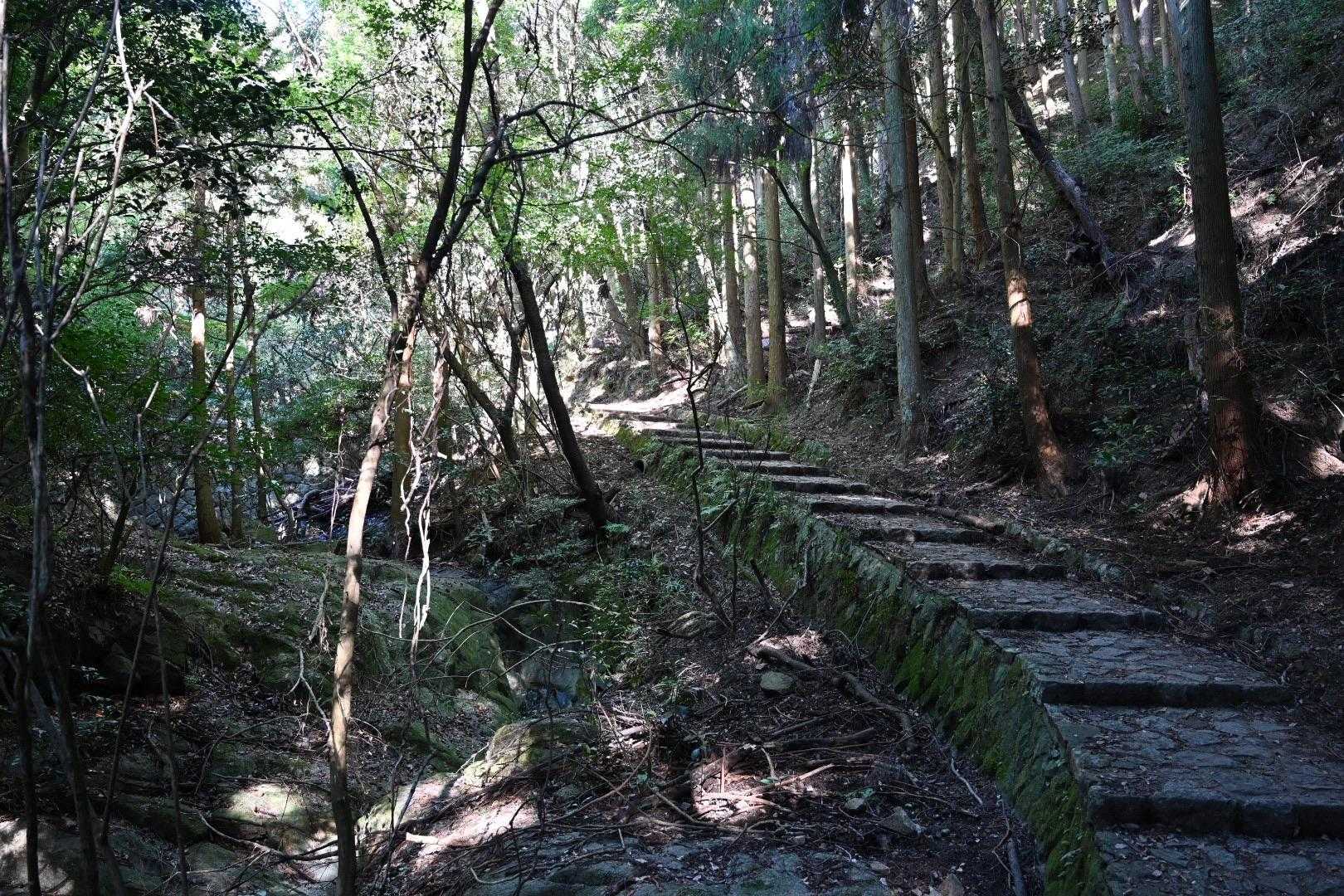 JR元町駅-再度越-新神戸駅 コースの写真