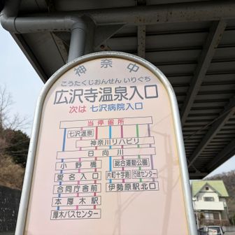 ますやさんは残念ながら満員で入れませんでした🥲

バスに乗って本厚木に移動するとこにしました🚌