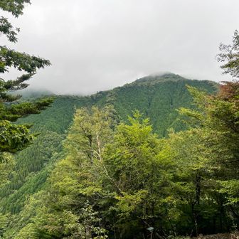ちょっと晴れてきたかな？
