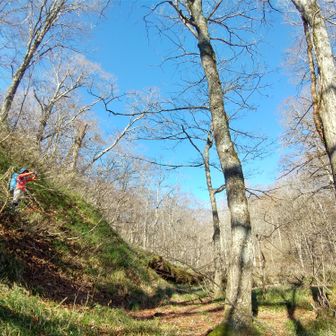 左門岳 大平に降り立ちました！