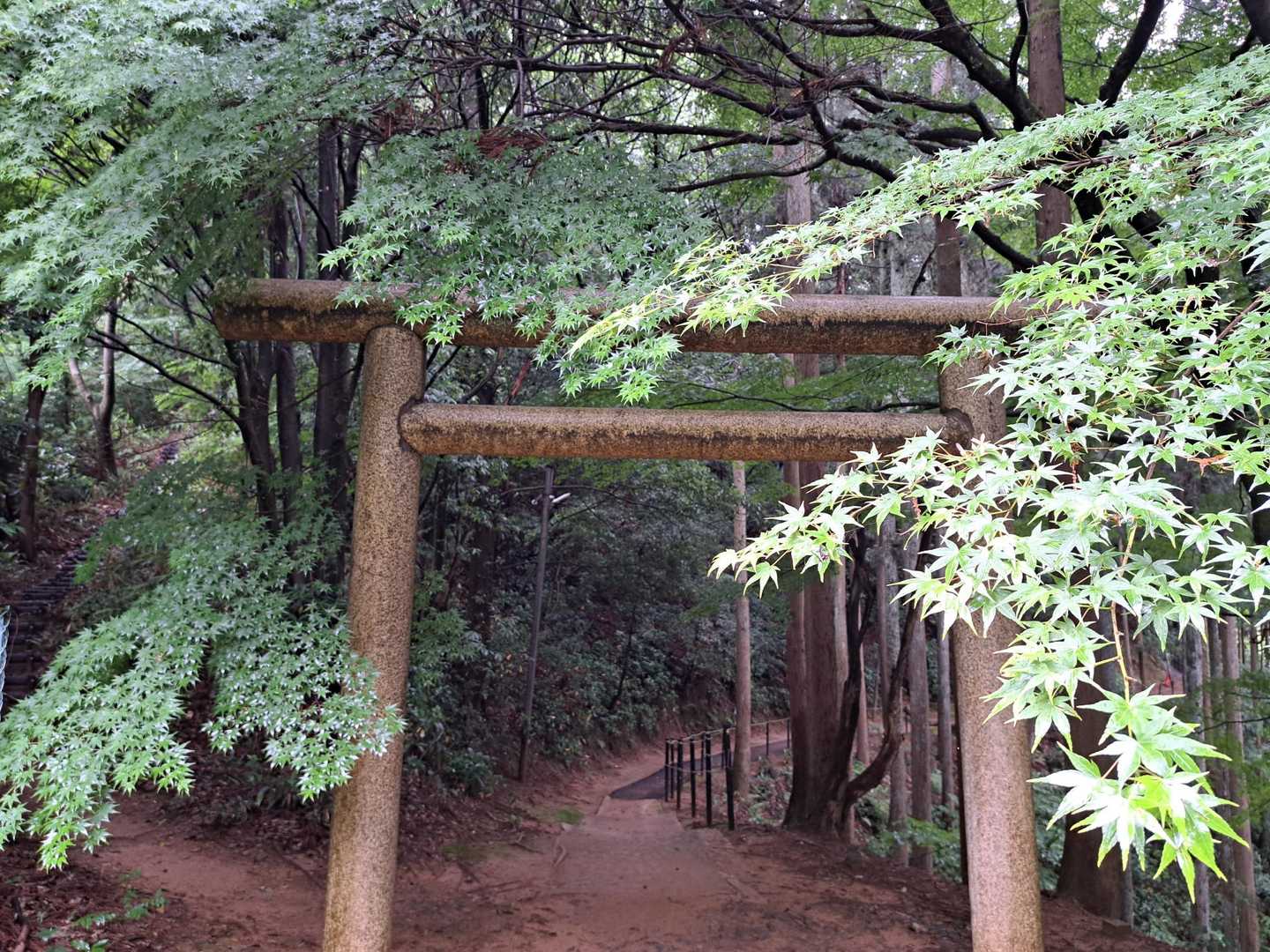 左側に登山道？
そうでした。。。
歩いて登る時の登山口でした😳
YAMAPの活用まだまだです