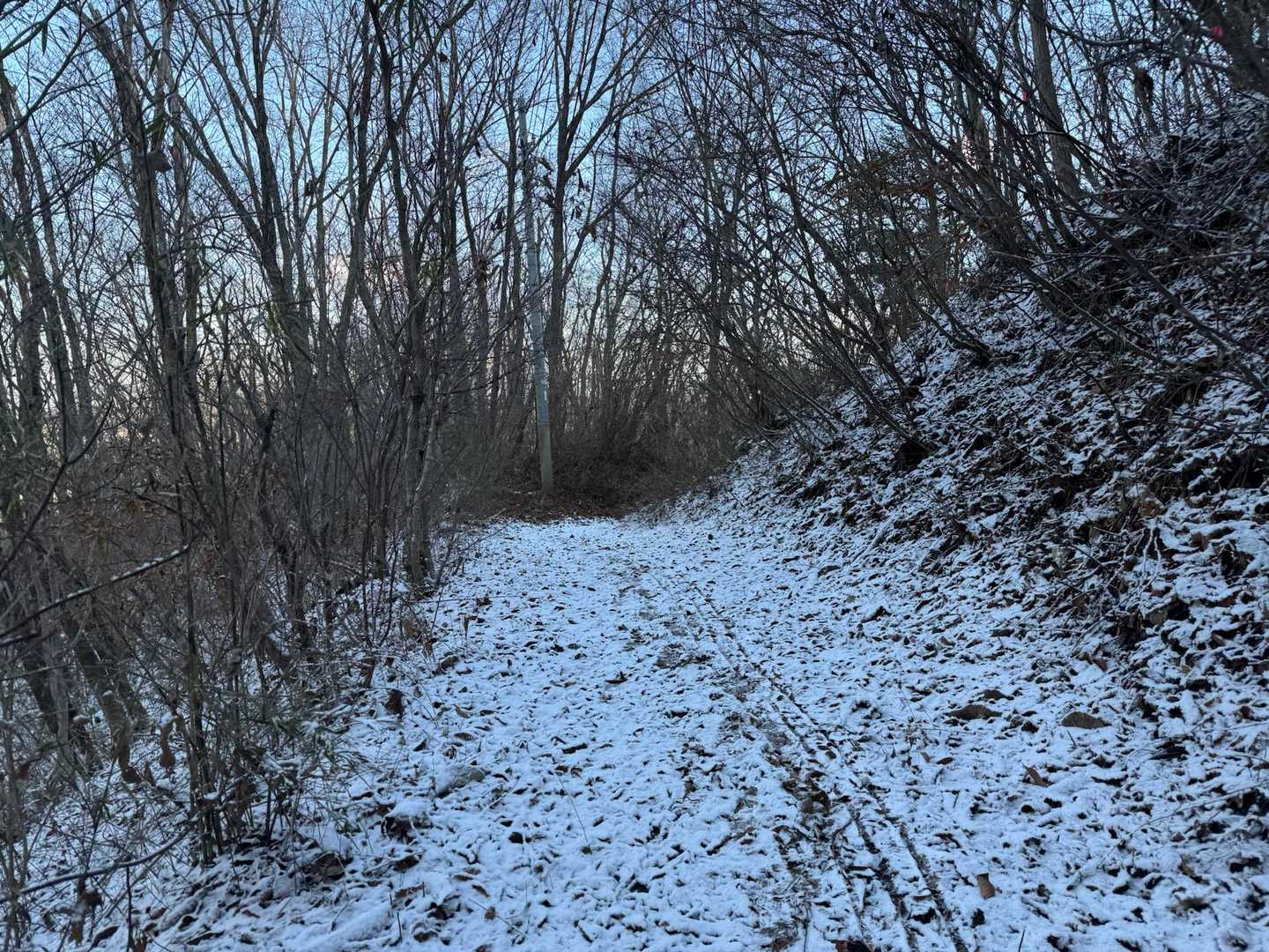 このソリの跡は？🛷