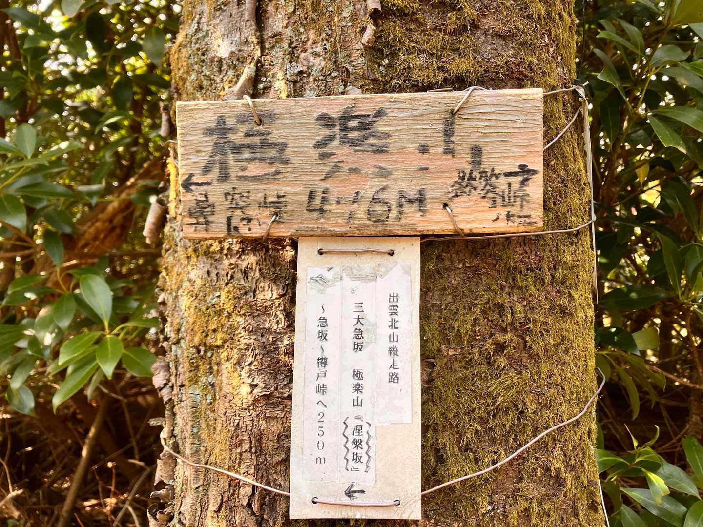 急坂。滑り台より坂でした🛝