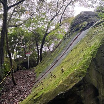 つるんつるん滑るんで岩の展望所は断念
まぁ景色見えないんで当然の決断