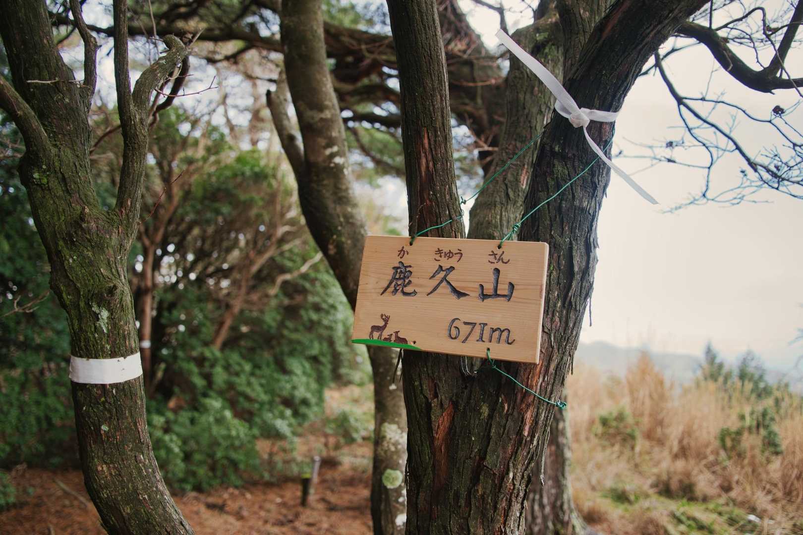 丸茅山からは、林道なくピンテ通りに⤴️⤵️しながら来ると
鹿久山⛰️に着きました！