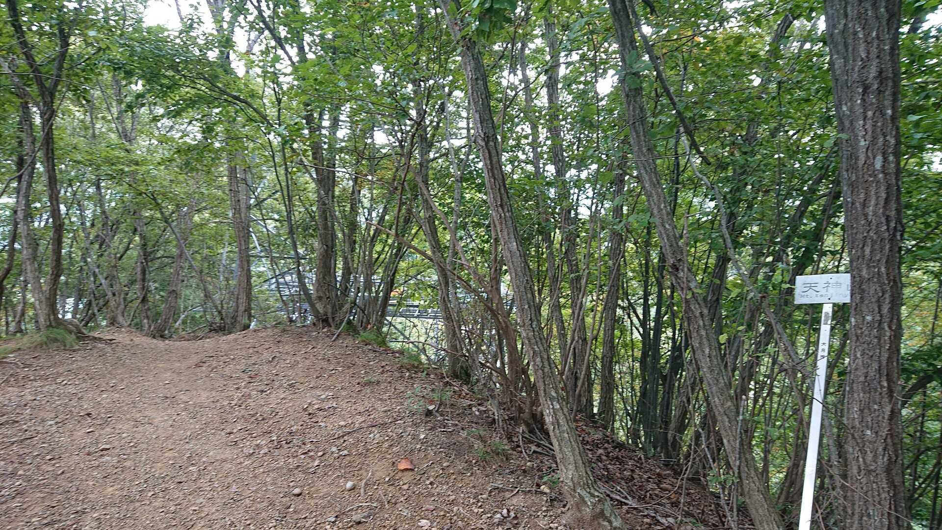 天神山の写真