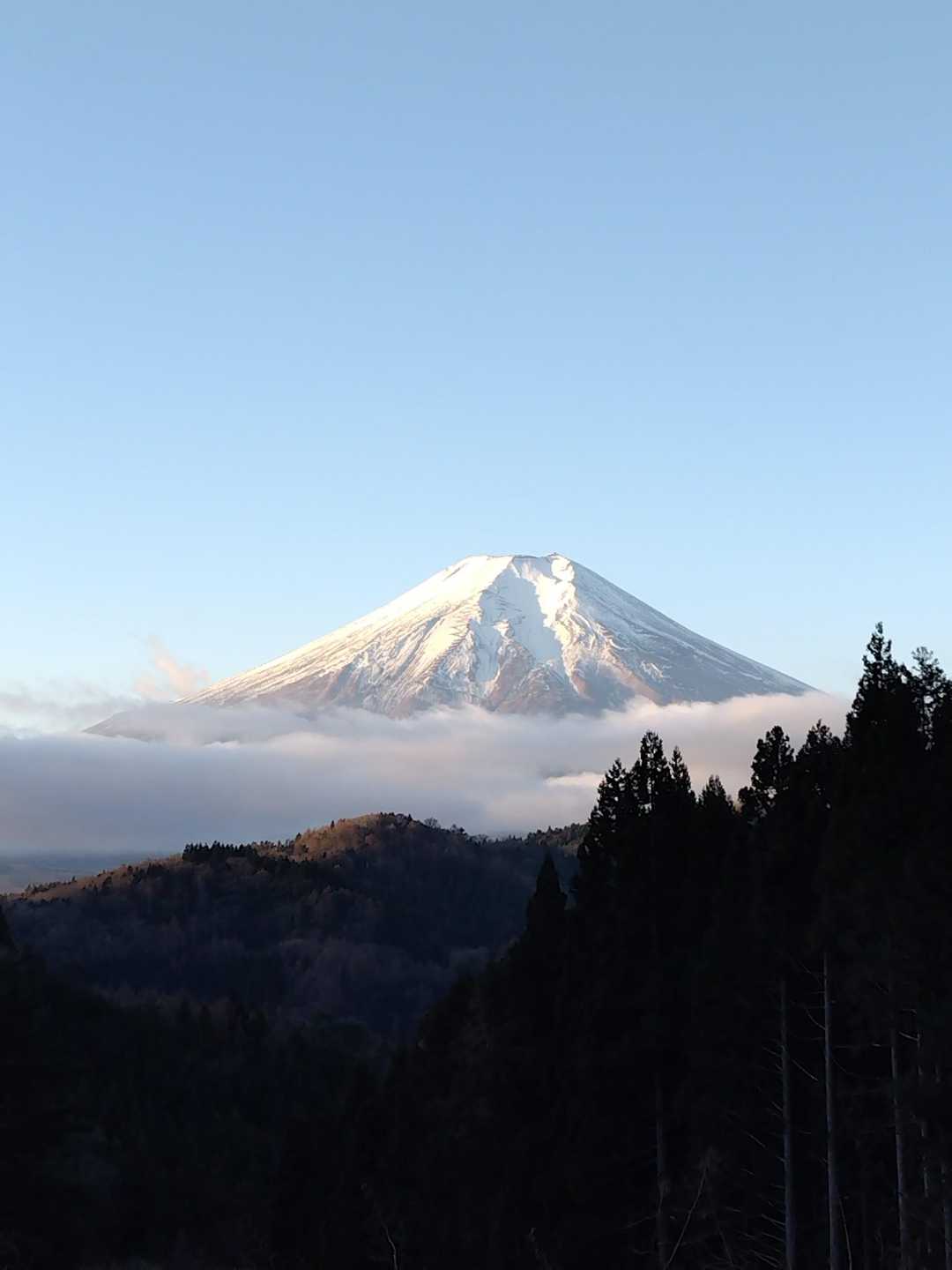 富士山スポット