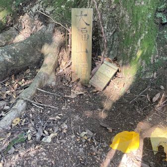 山頂は狭く小さく展望なし