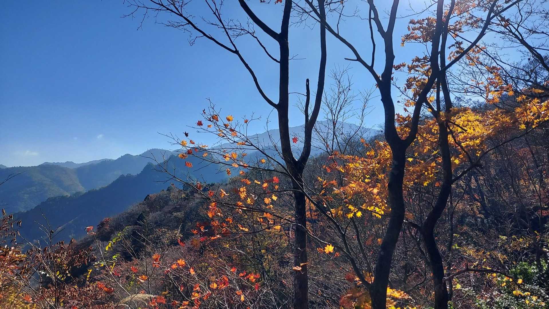 奥に祖母山