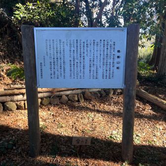 なるほど_φ(･_･信玄ね