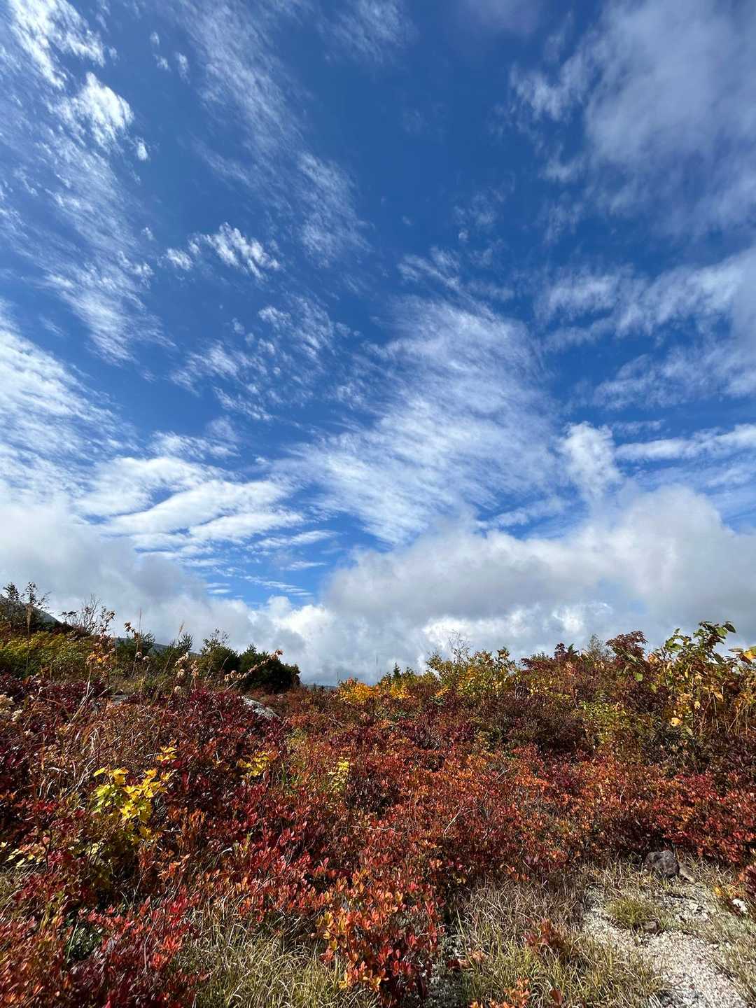 須川温泉登山口発着｜秘湯起点の名残ヶ原散策周回コースの写真