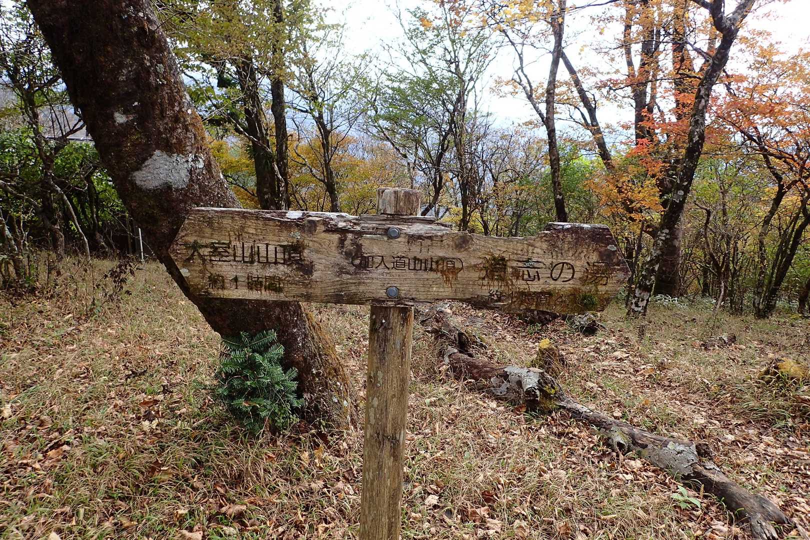 加入道山 往復コースの写真
