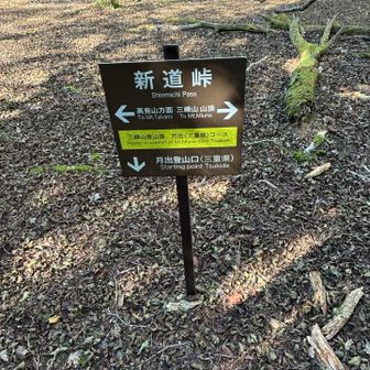 きたことあるし、ホッとするℹ️