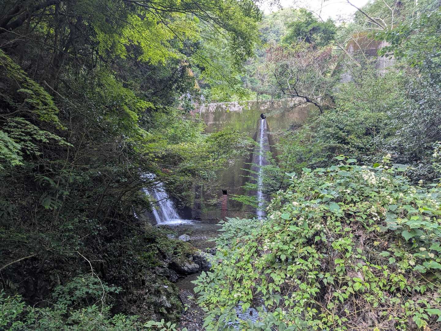 多度大社前バス停-多度山道入口-多度山 周回コースの写真