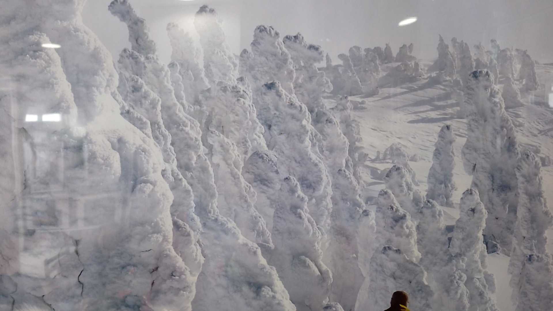 これは山麓駅にあったポスターの写真でーす