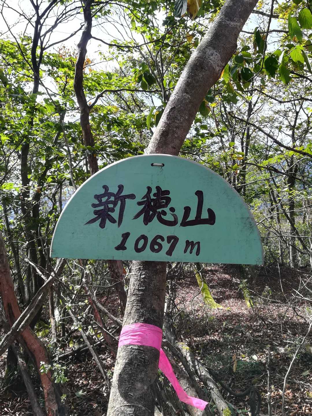 山頂に到着しました。