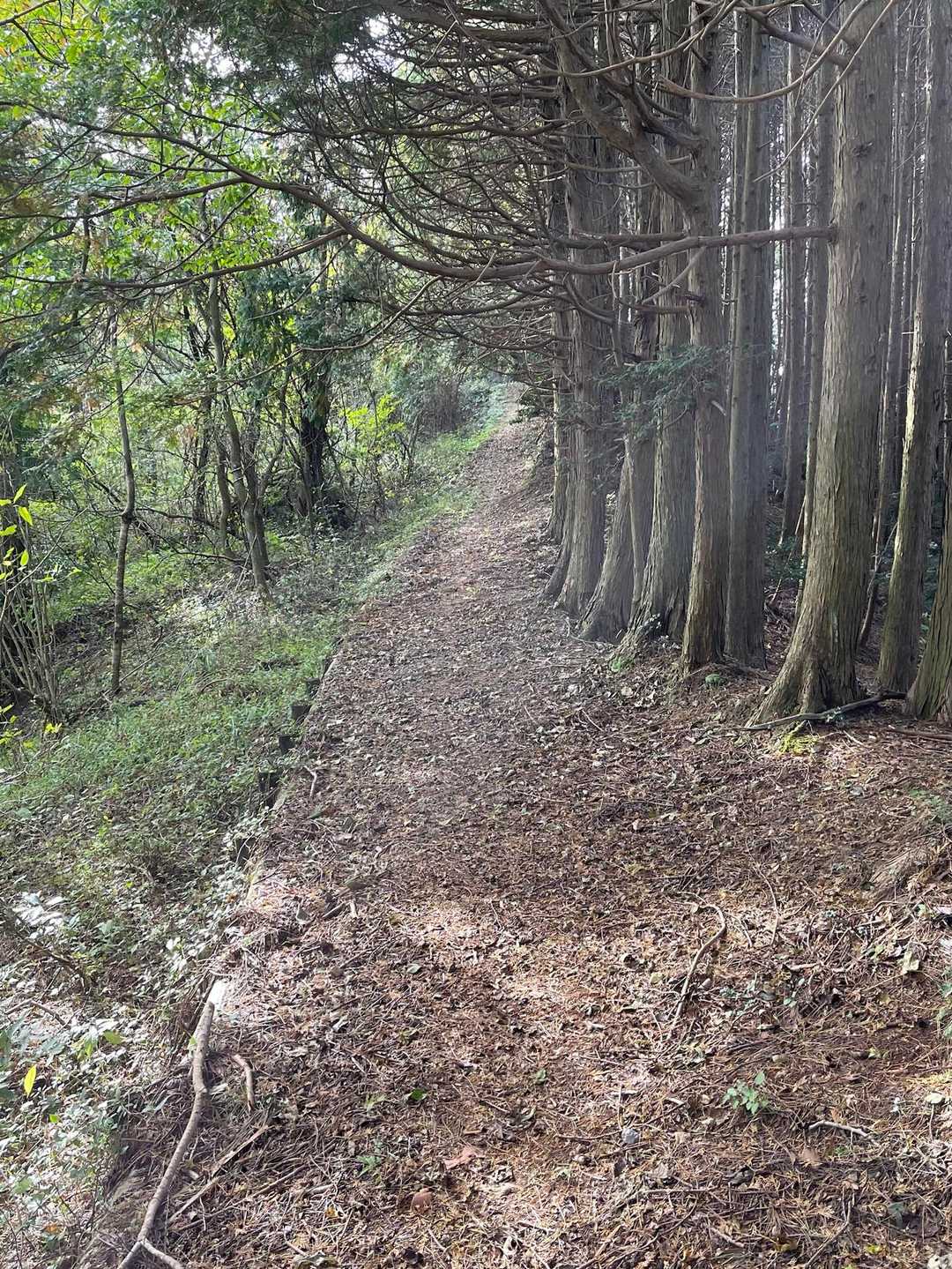 四国の道