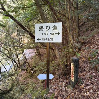 本当の分岐はここっぽい