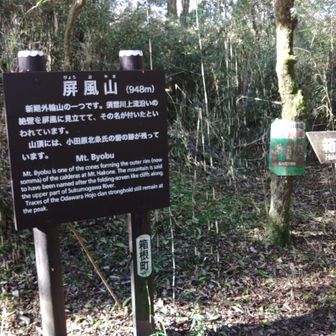 登山道を約40分で頂上　展望あまり無い
フムフム　砦跡なんだ？遺構は残ってないな...