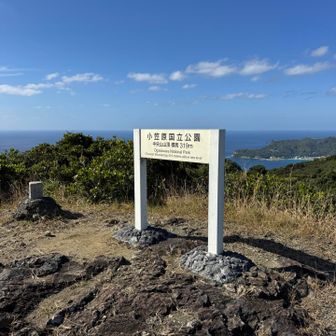 中央山山頂に到着。
人が登れる山としては父島最高峰です。