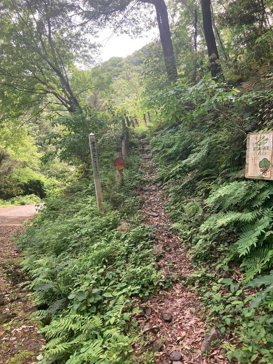 こちらから入山
