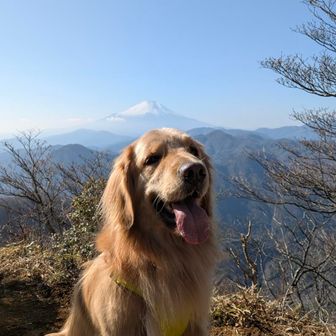 今日の4つ目山頂　小笄⛰️（ここうげ）

標識無いしこの絶景ポイントを山頂ということで✌
休憩しよ🐶