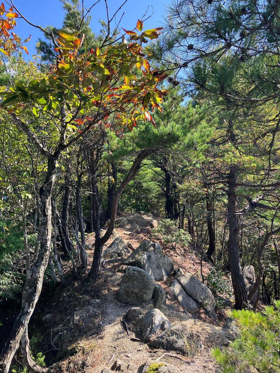 おおなる山の次は三角山（みすみやま）へ
予想以上にハードなコースだけど、面白い所も結構あります😊
