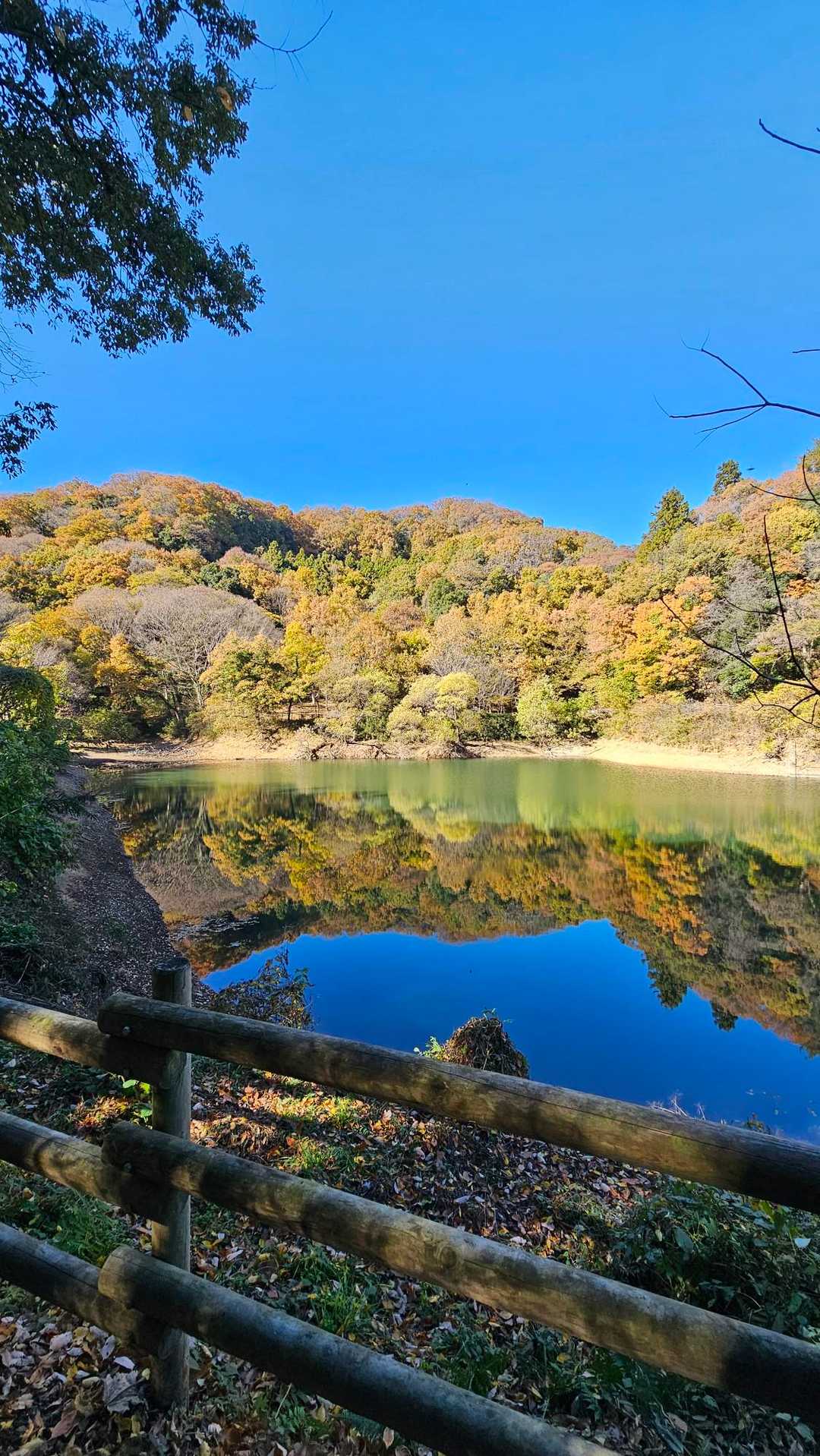 鐘撞堂山 周回コースの写真