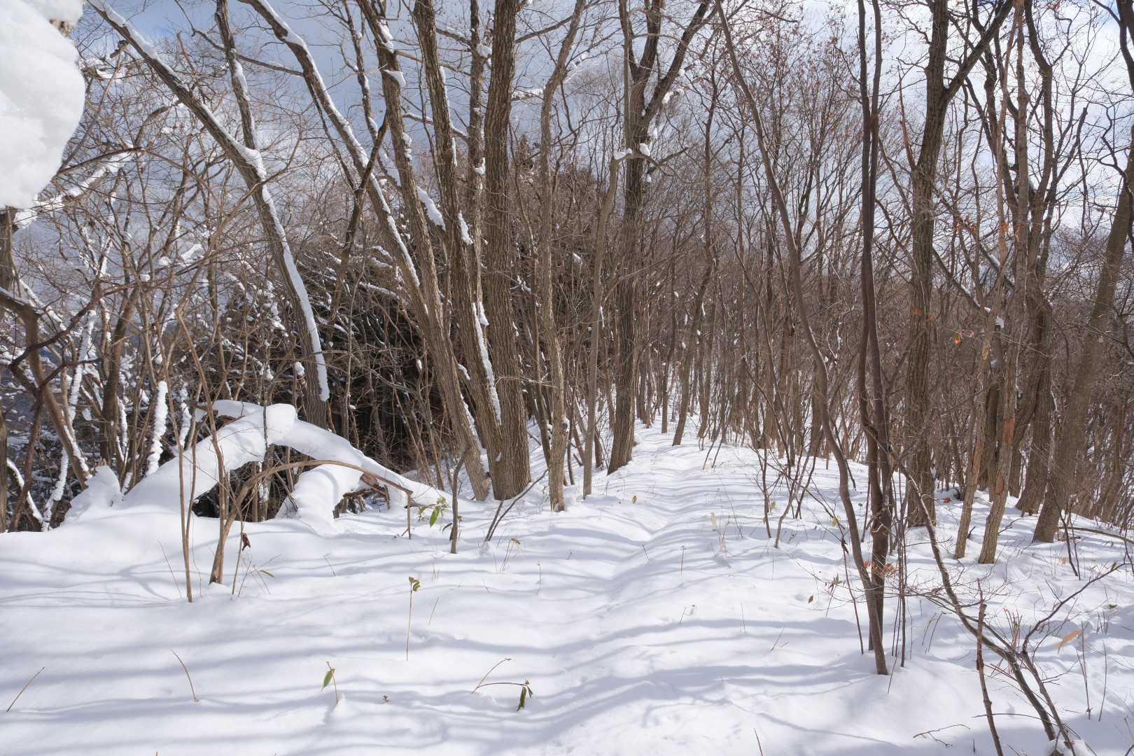 次へ。