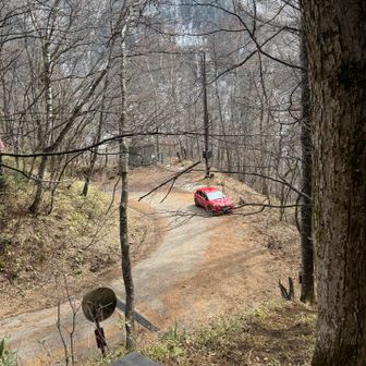 ポツンとインプちゃん🚗お待たせ〜
昨日のグループ登山で勉強したことは急いで頑張り過ぎない、ゆっくりいっぱい見て楽しむです
んで頑張るところは歩幅小さく黙々と登る
下りは特にゆっくりと筋肉に負担をかけないよう怪我しないよう気をつけておりてきました