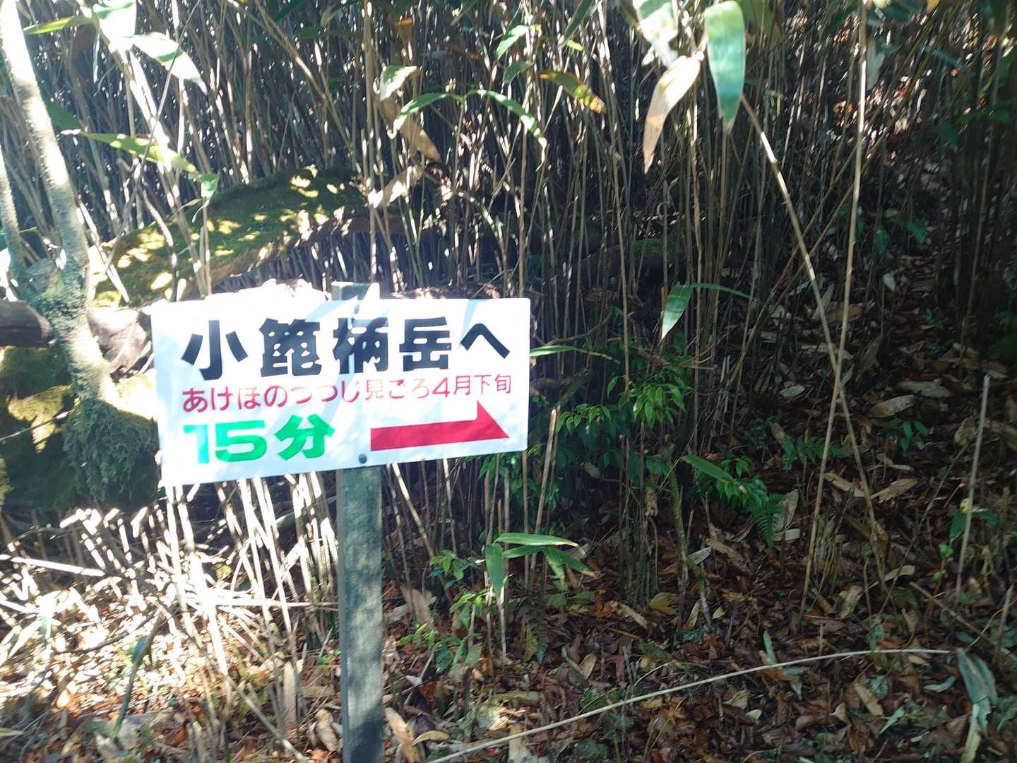 寄り道ピーク▲
もちろん行きまっせー🙋