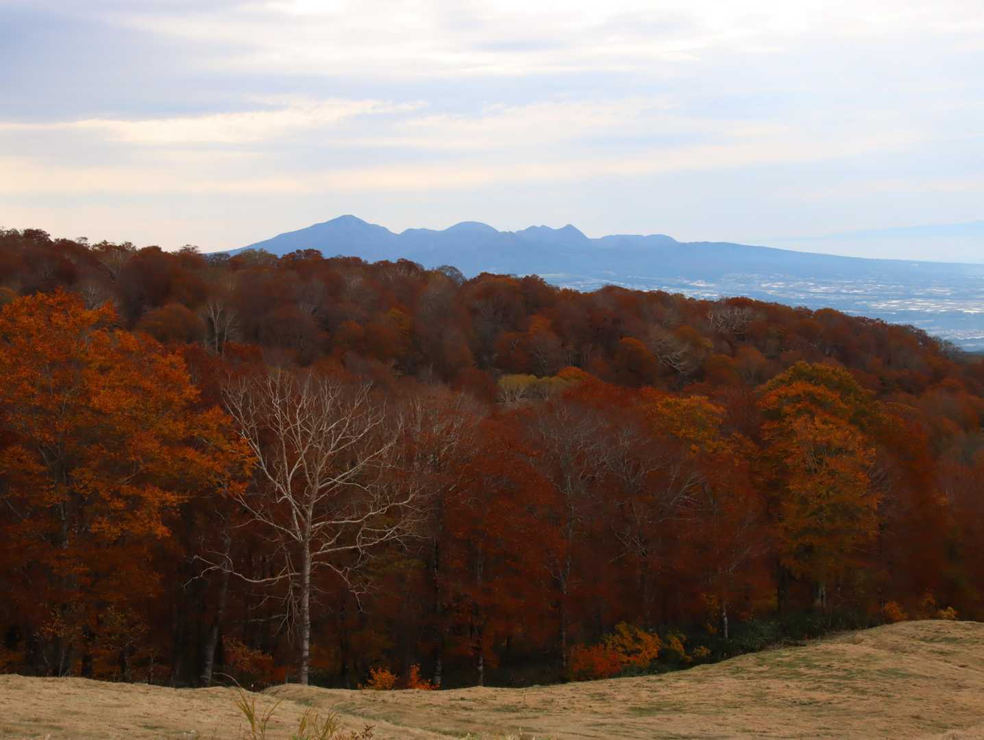 赤城山
手前の紅葉が素晴らしい