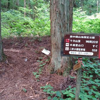 十方山は ↑ (新道)
 ← の上にテープ；←は旧道らしい、今は通れないのかな？