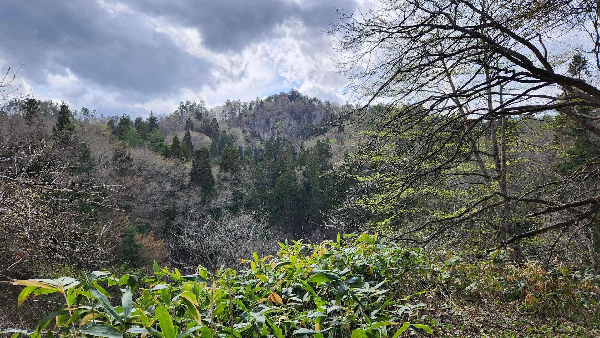 岡口の方に降りる途中。
ここが高取山のベストアングルかな。